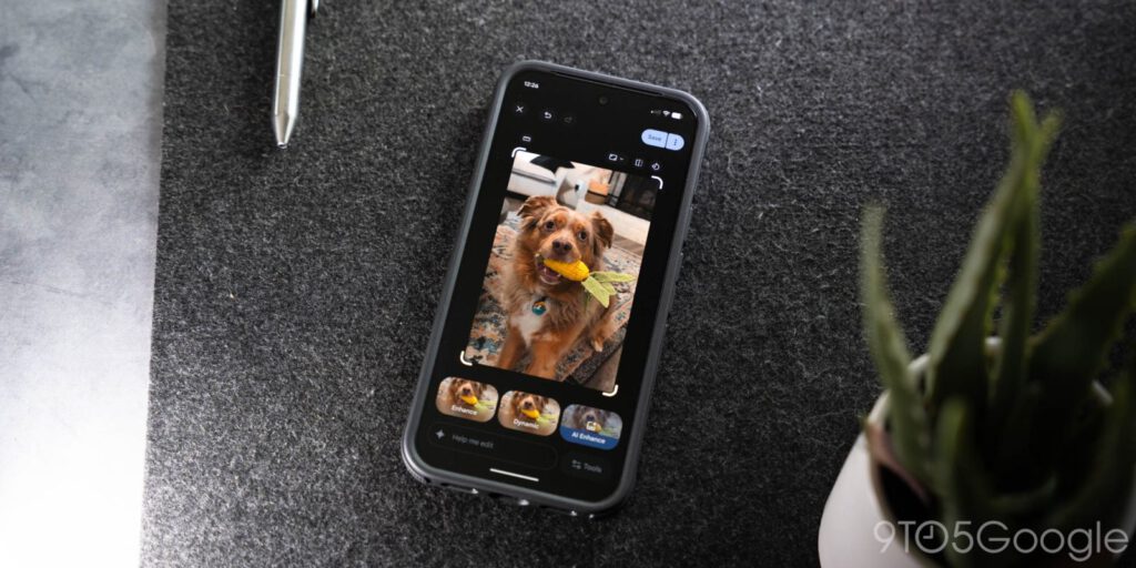 Google confirms ‘Ask Photos’ missing for some, this might be why